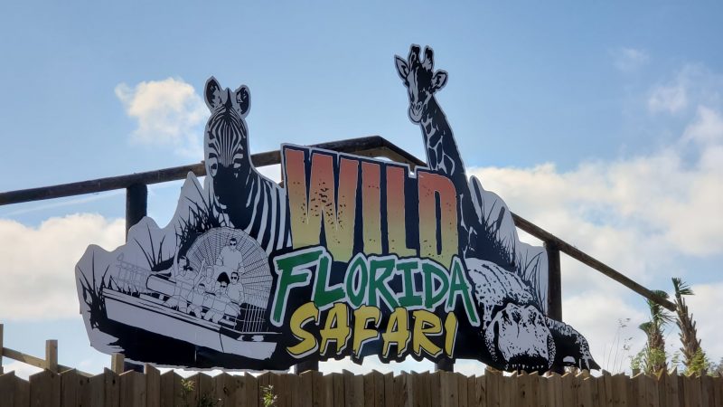 Wild Florida