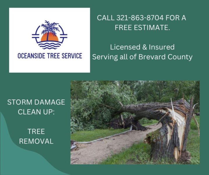 Oceanside Tree Service